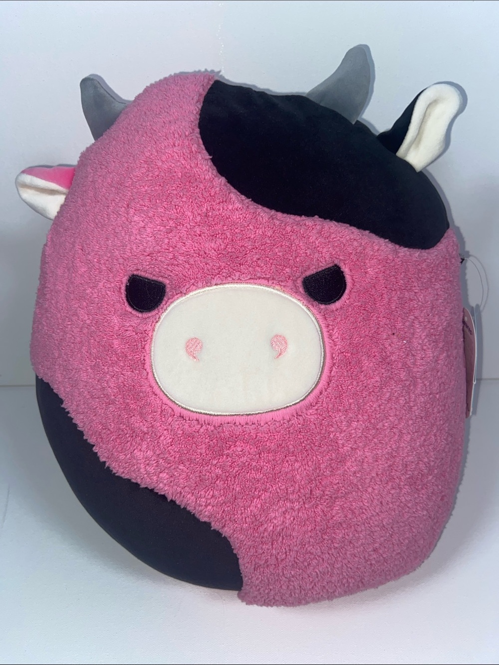 Squishmallows Pollyanna 13 inch NWT
